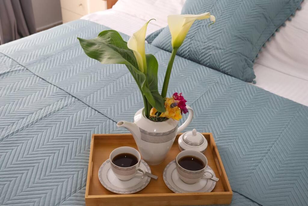 “Katerina'S Guest House” Kato Garouna Bagian luar foto